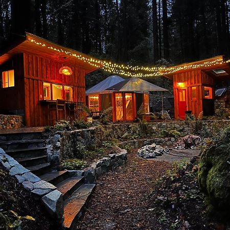 Magical Yurt In The Woods - 2 Miles From Town Hotel Nevada City Buitenkant foto