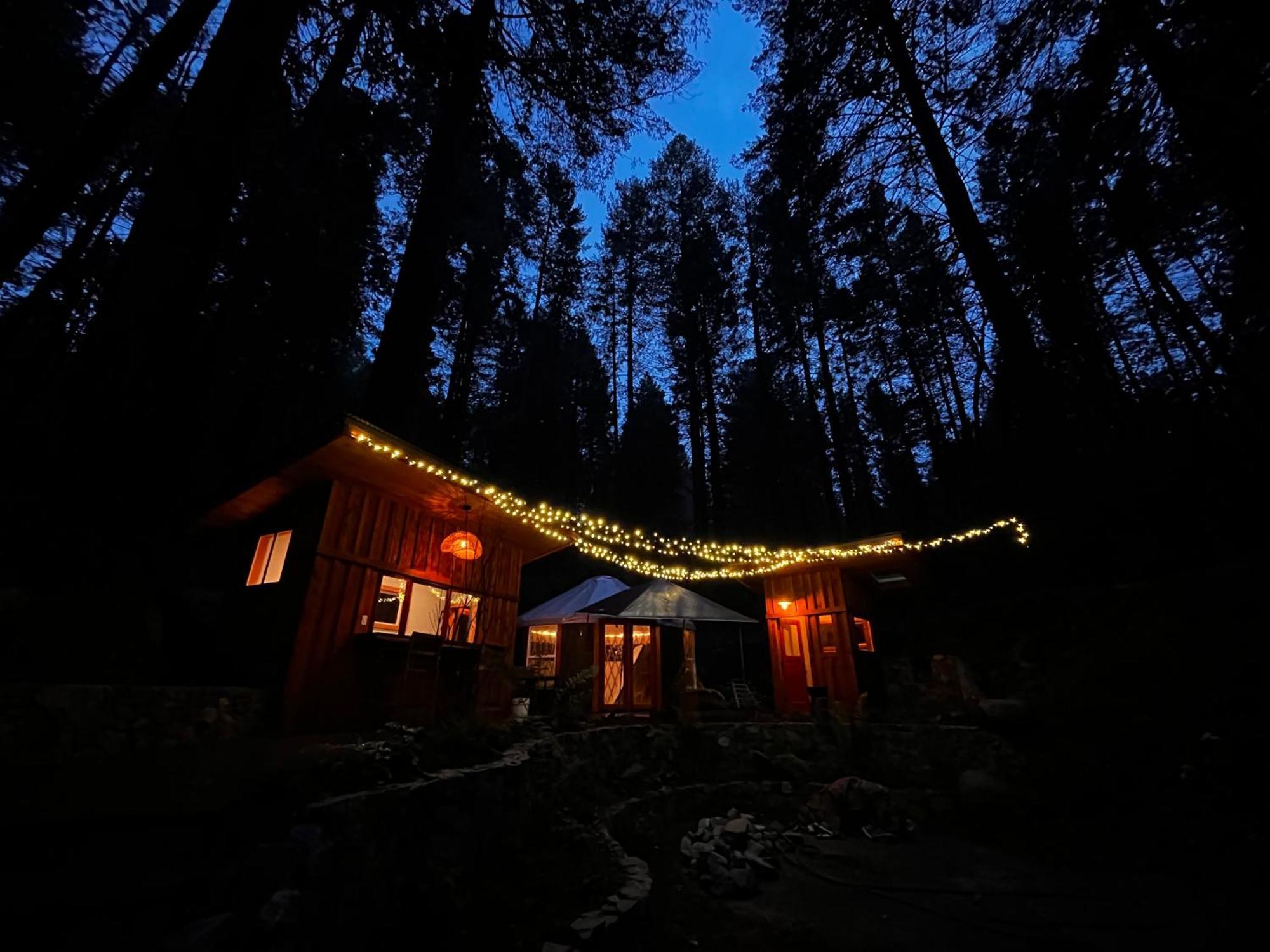 Magical Yurt In The Woods - 2 Miles From Town Hotel Nevada City Buitenkant foto