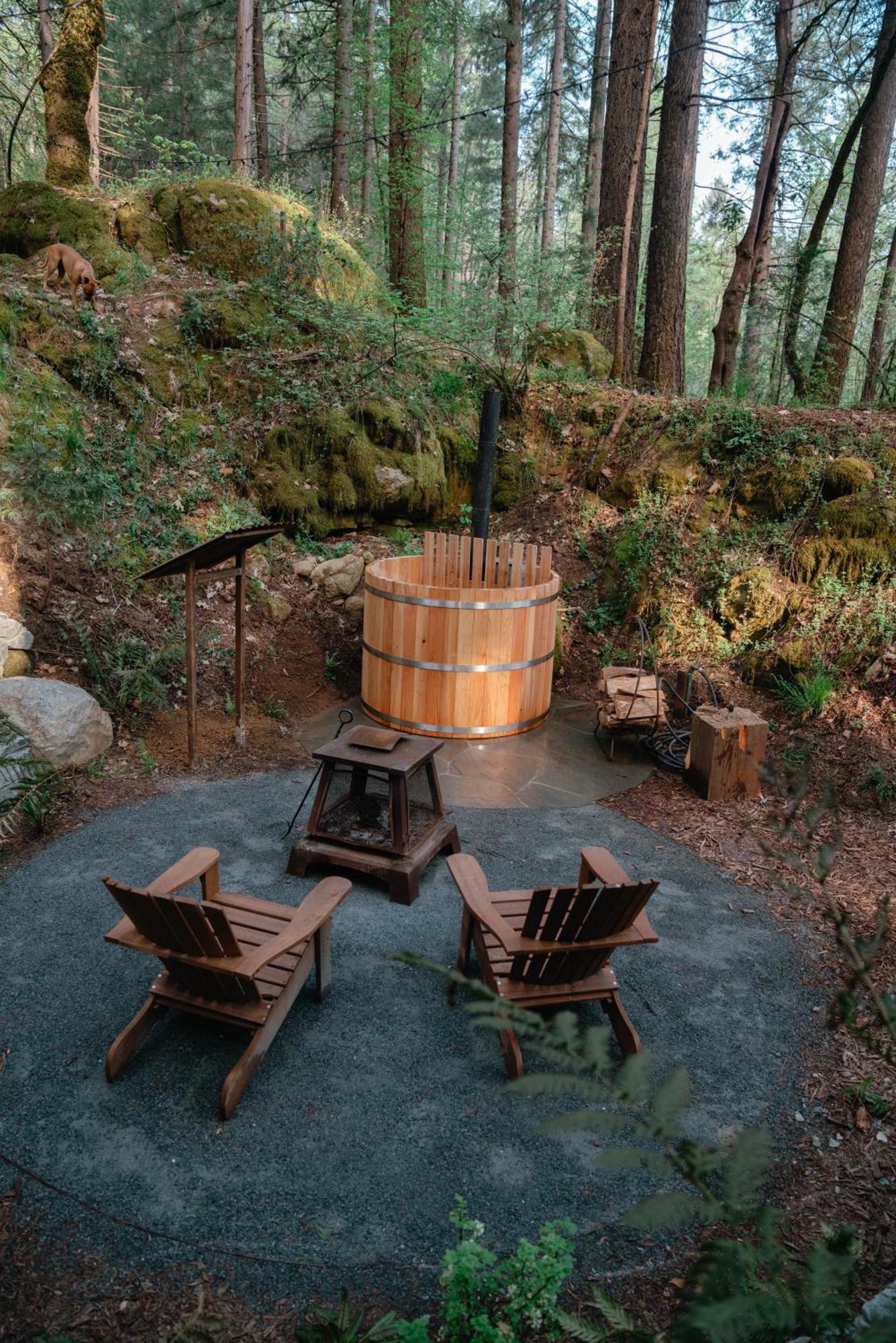 Magical Yurt In The Woods - 2 Miles From Town Hotel Nevada City Buitenkant foto