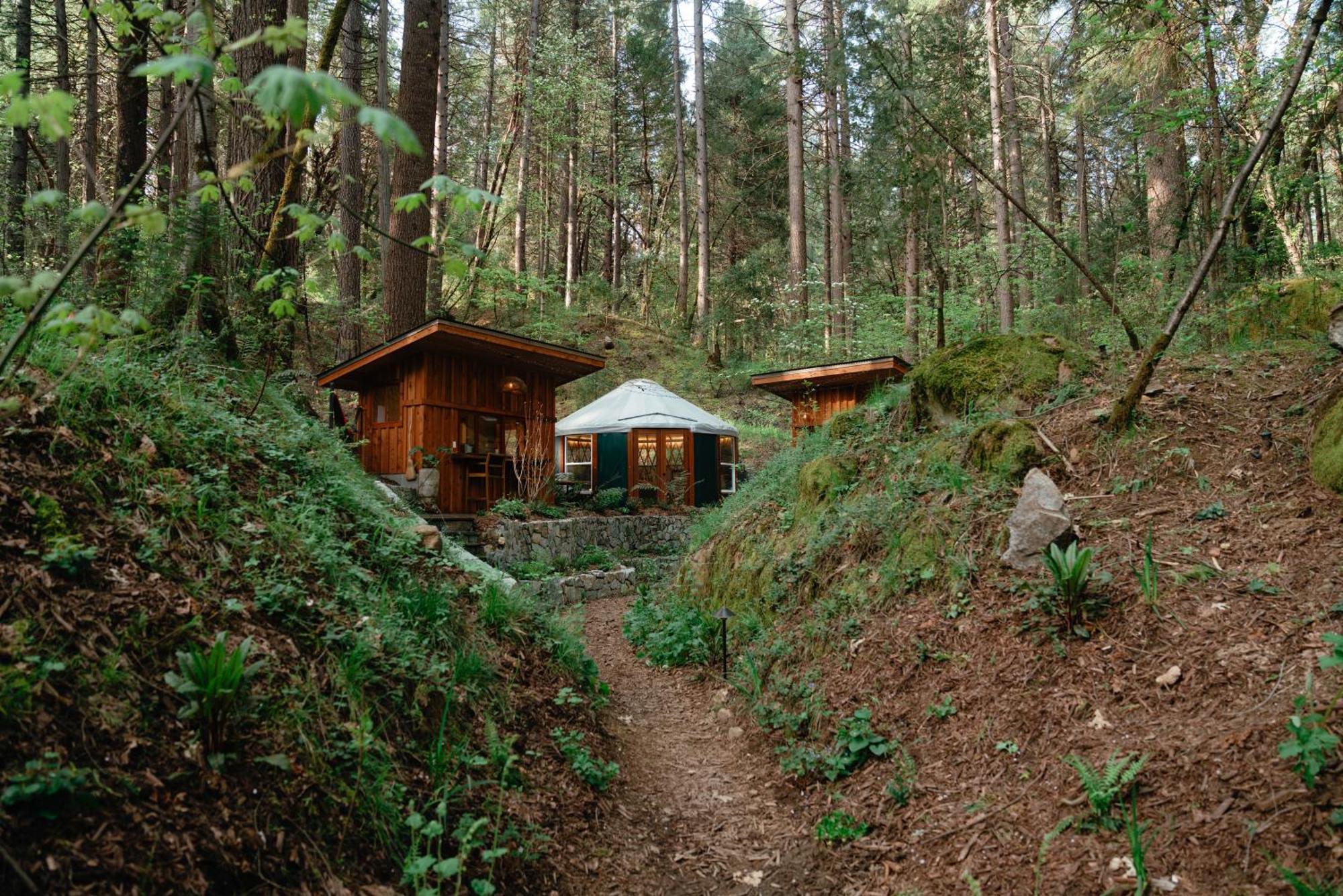 Magical Yurt In The Woods - 2 Miles From Town Hotel Nevada City Buitenkant foto