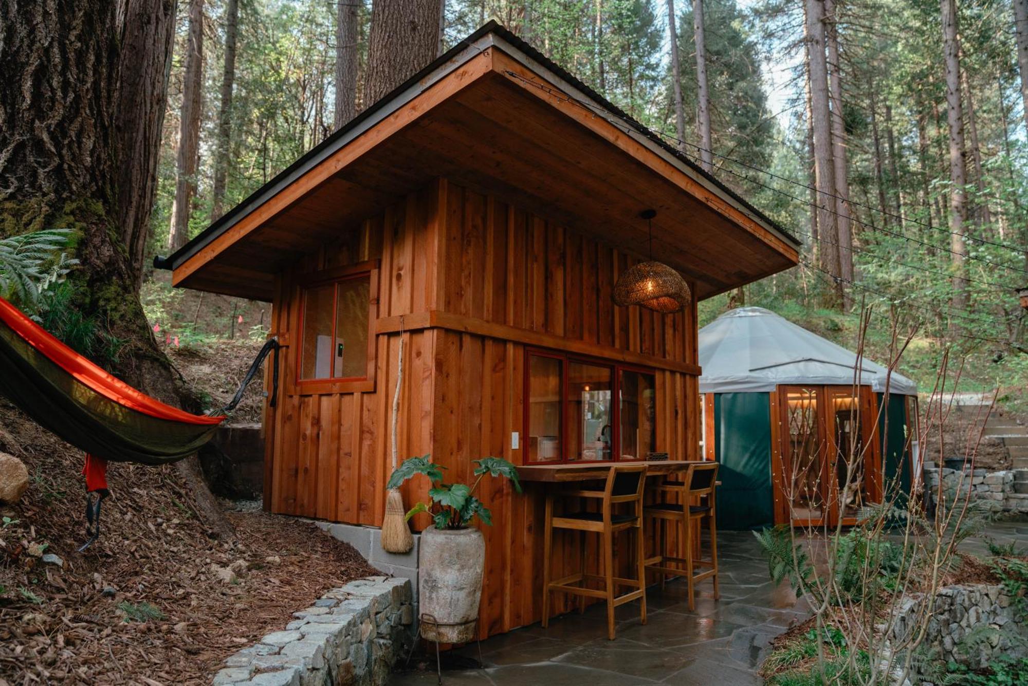 Magical Yurt In The Woods - 2 Miles From Town Hotel Nevada City Buitenkant foto